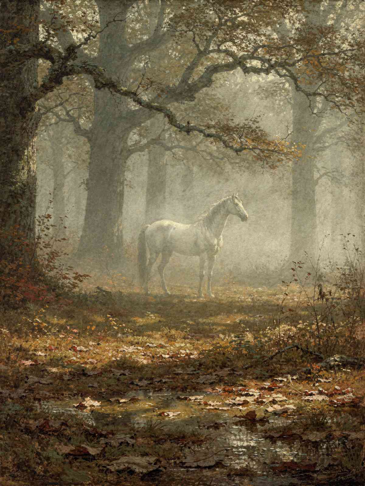 Weißes Pferd im nebligen Herbstwald